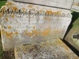 image of grave number 883518
